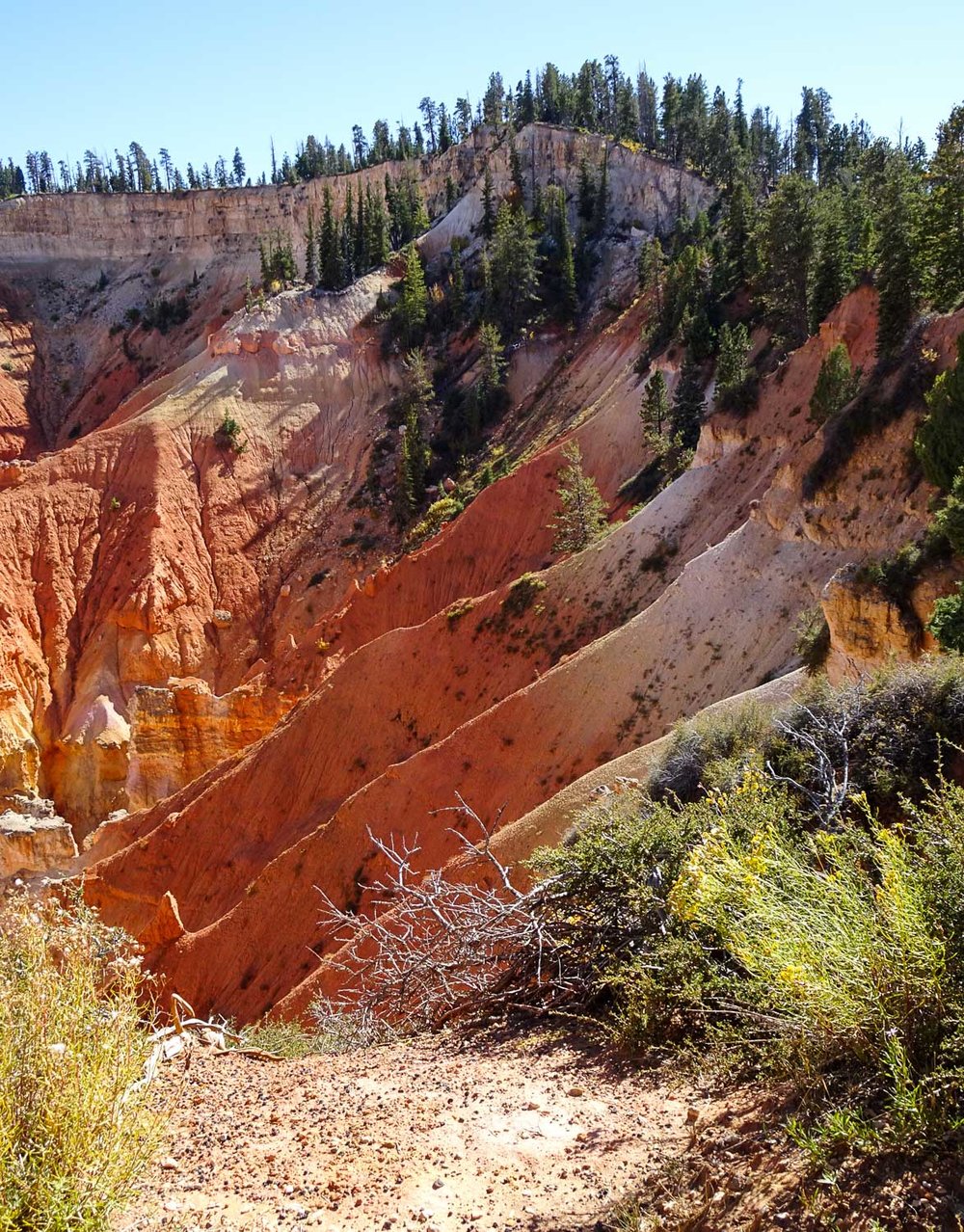 The "Pink Cliffs" of the Grand Staircase