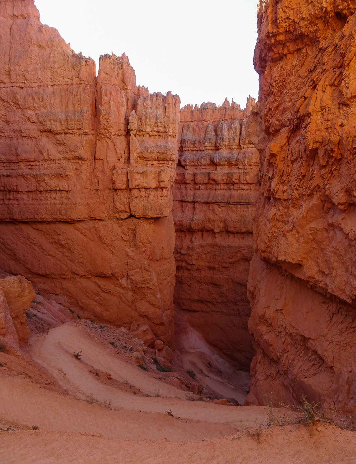 The Wall Street Trail