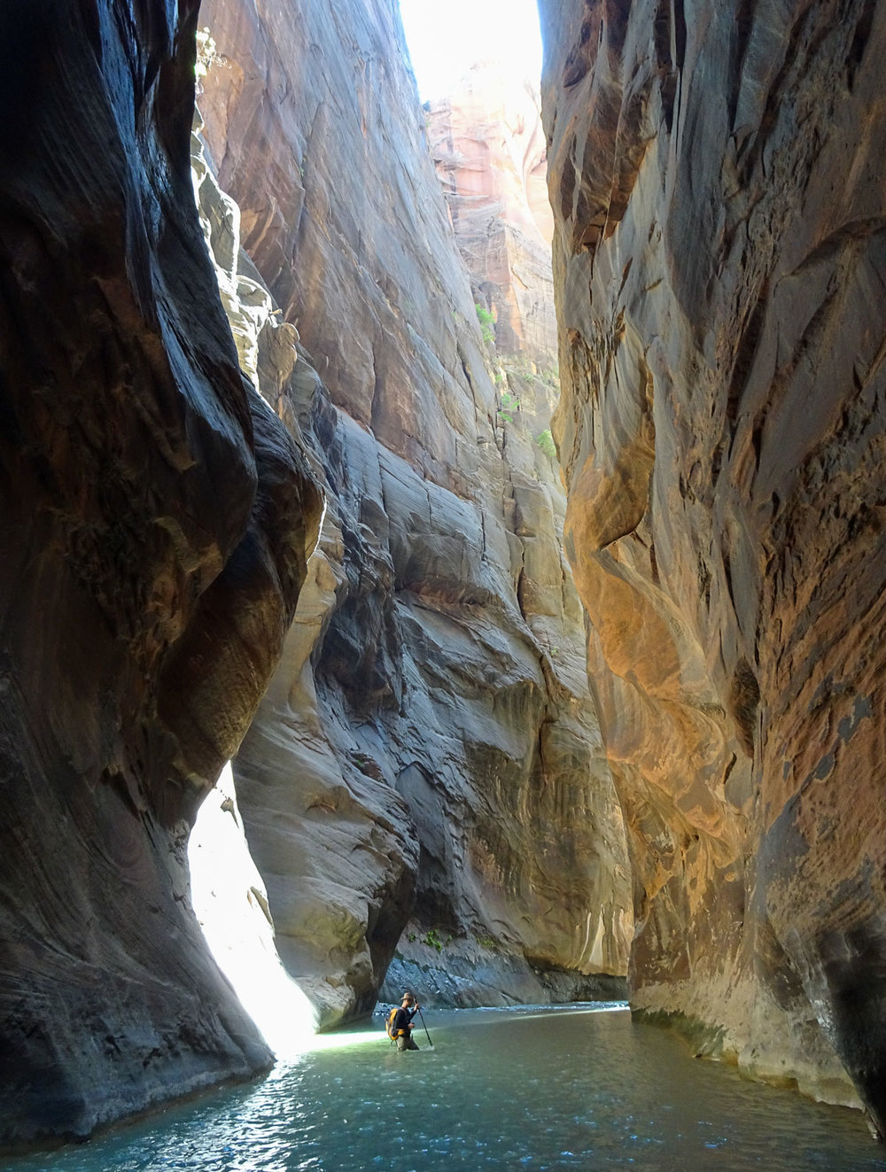 ZionNationalPark_Blog (90 of 105).jpg