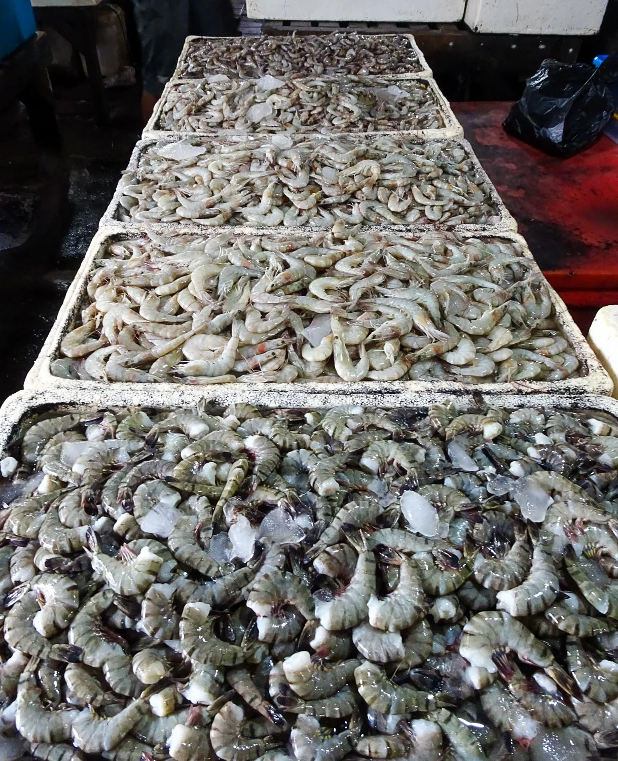 Jimbaran Fish Market