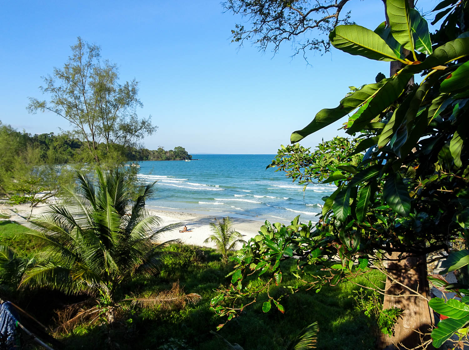 View From Restaurant