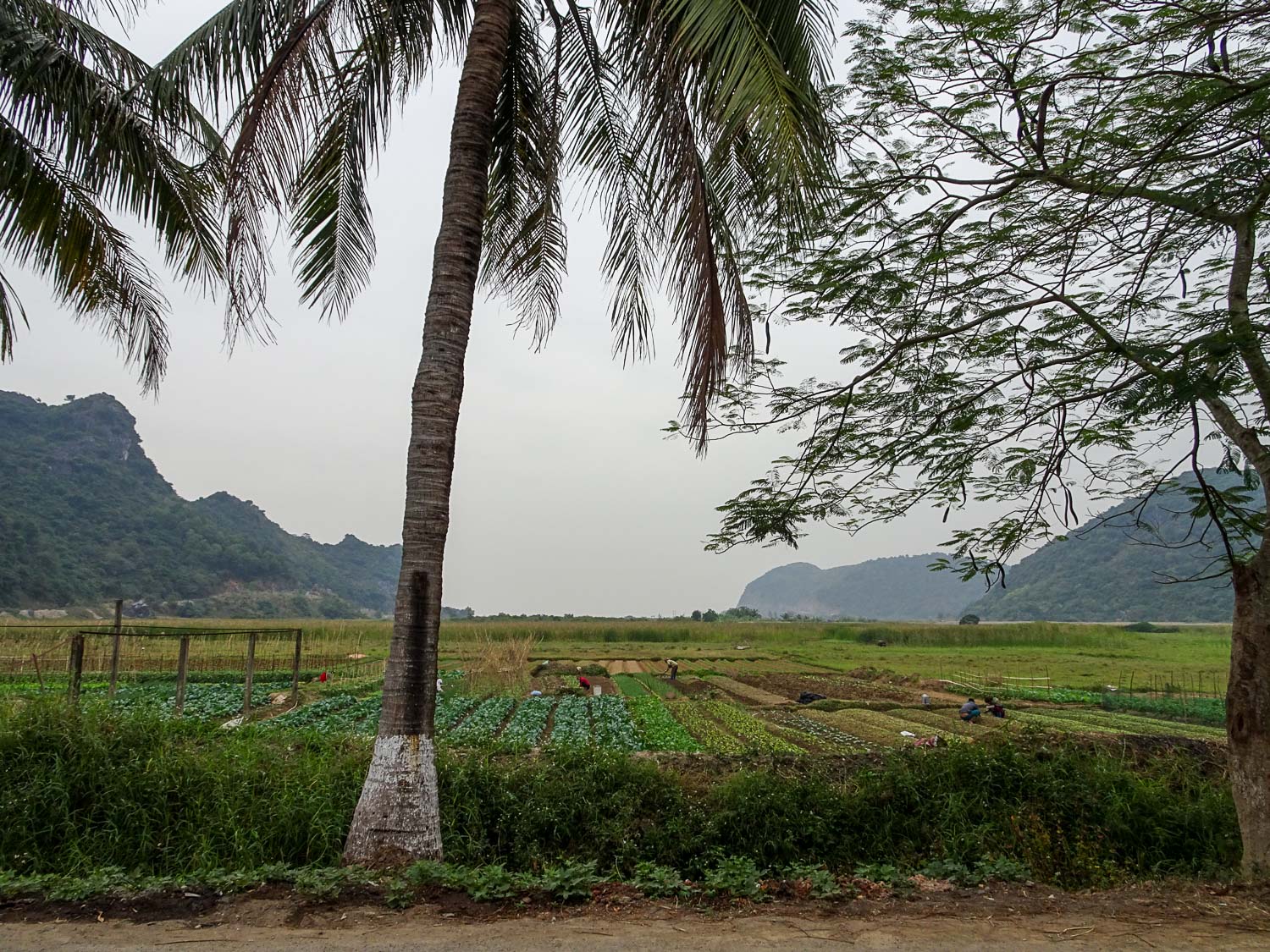 Cat Ba Island scenery