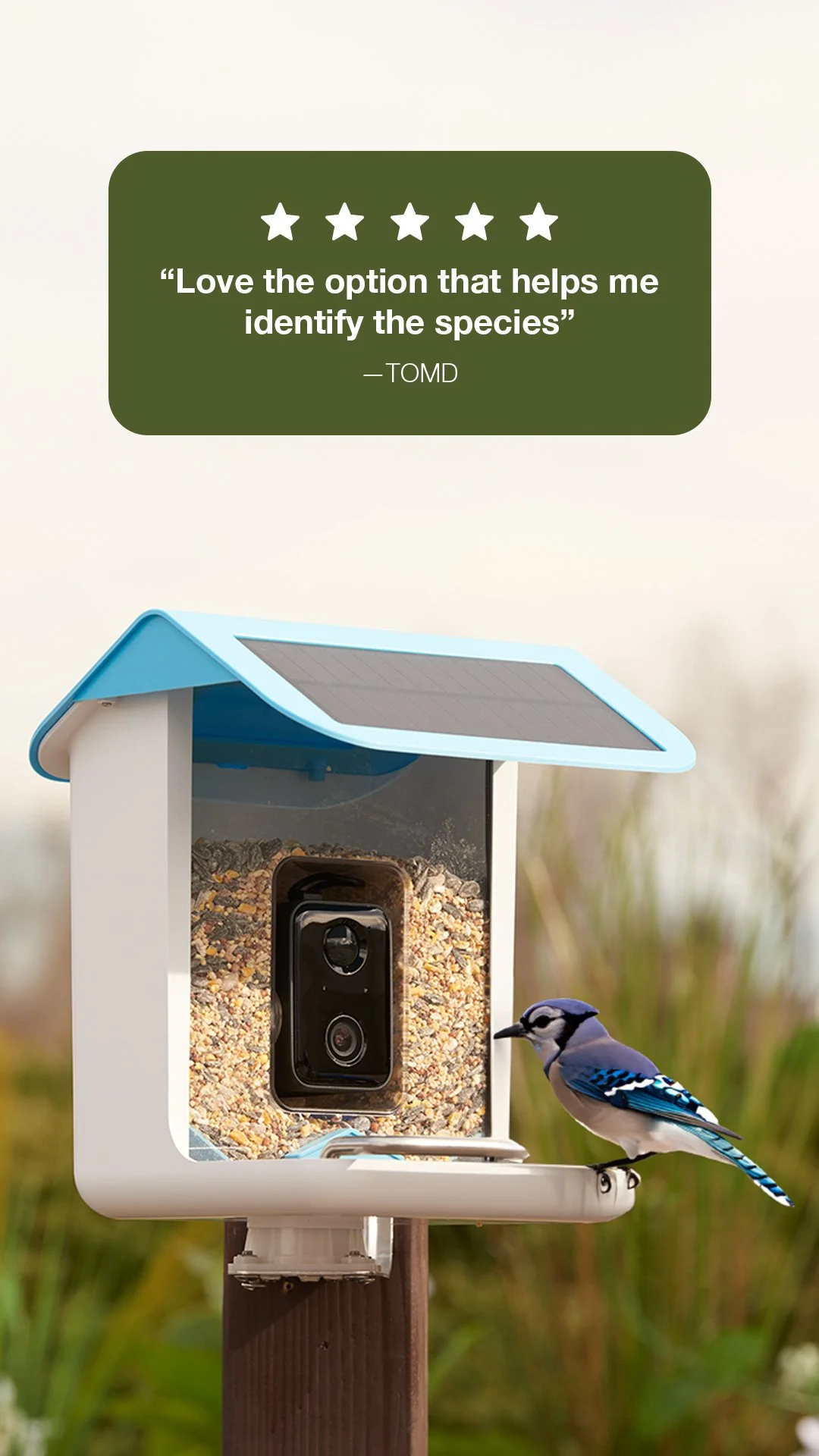 VideoCameraBirdFeeder_static_1080x1920_v2.jpg