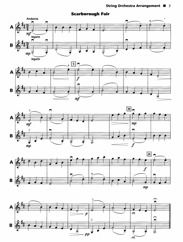 strictly string vn 2-1.JPG