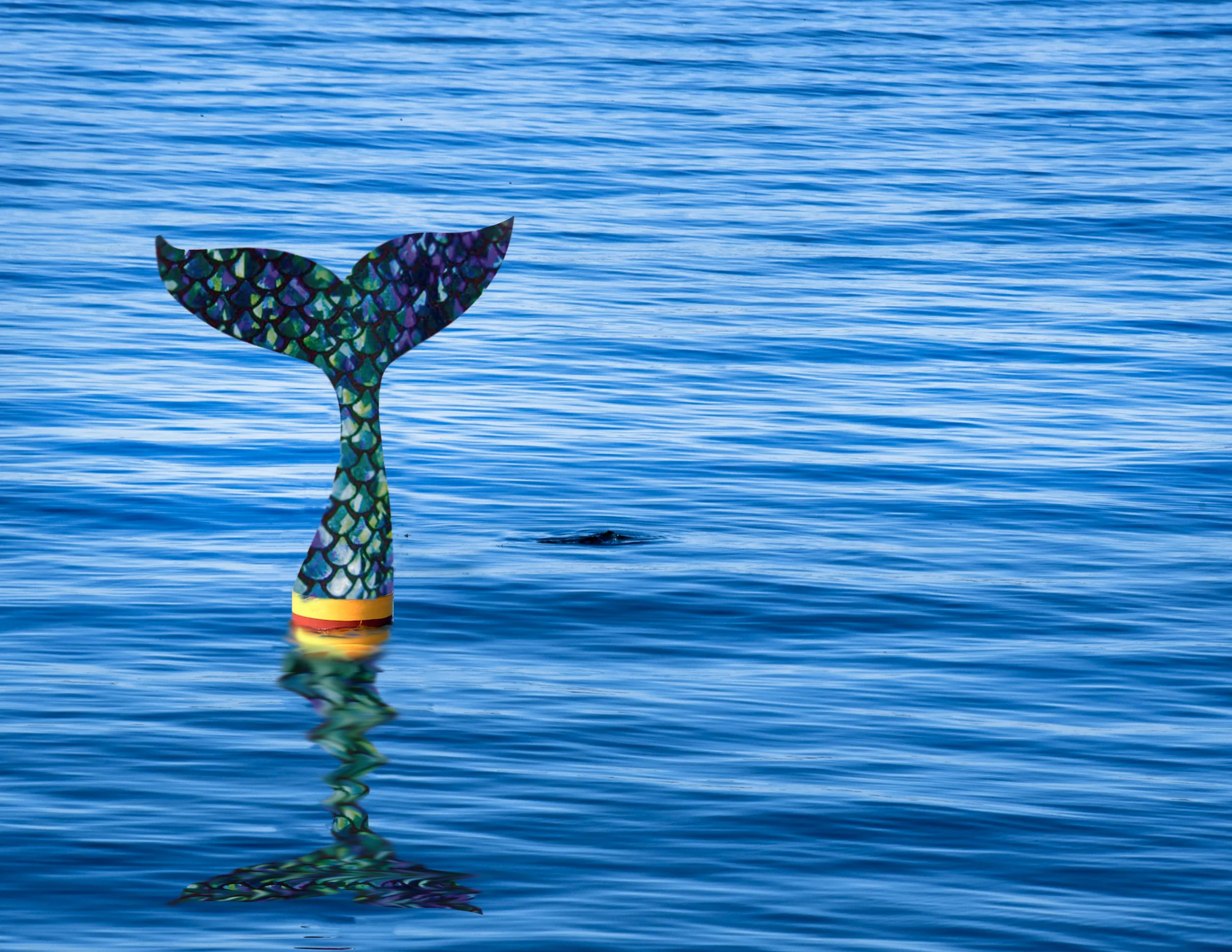 Weekiwachee_buoy2.jpg