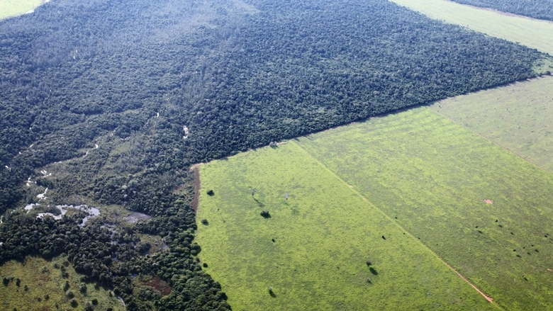 brazil_0631.jpg
