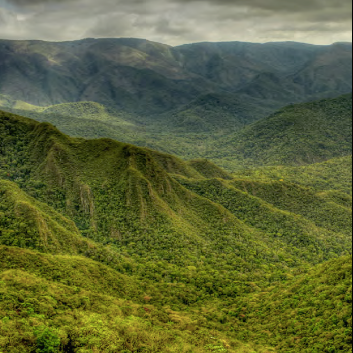 Brazil Landscape.jpg