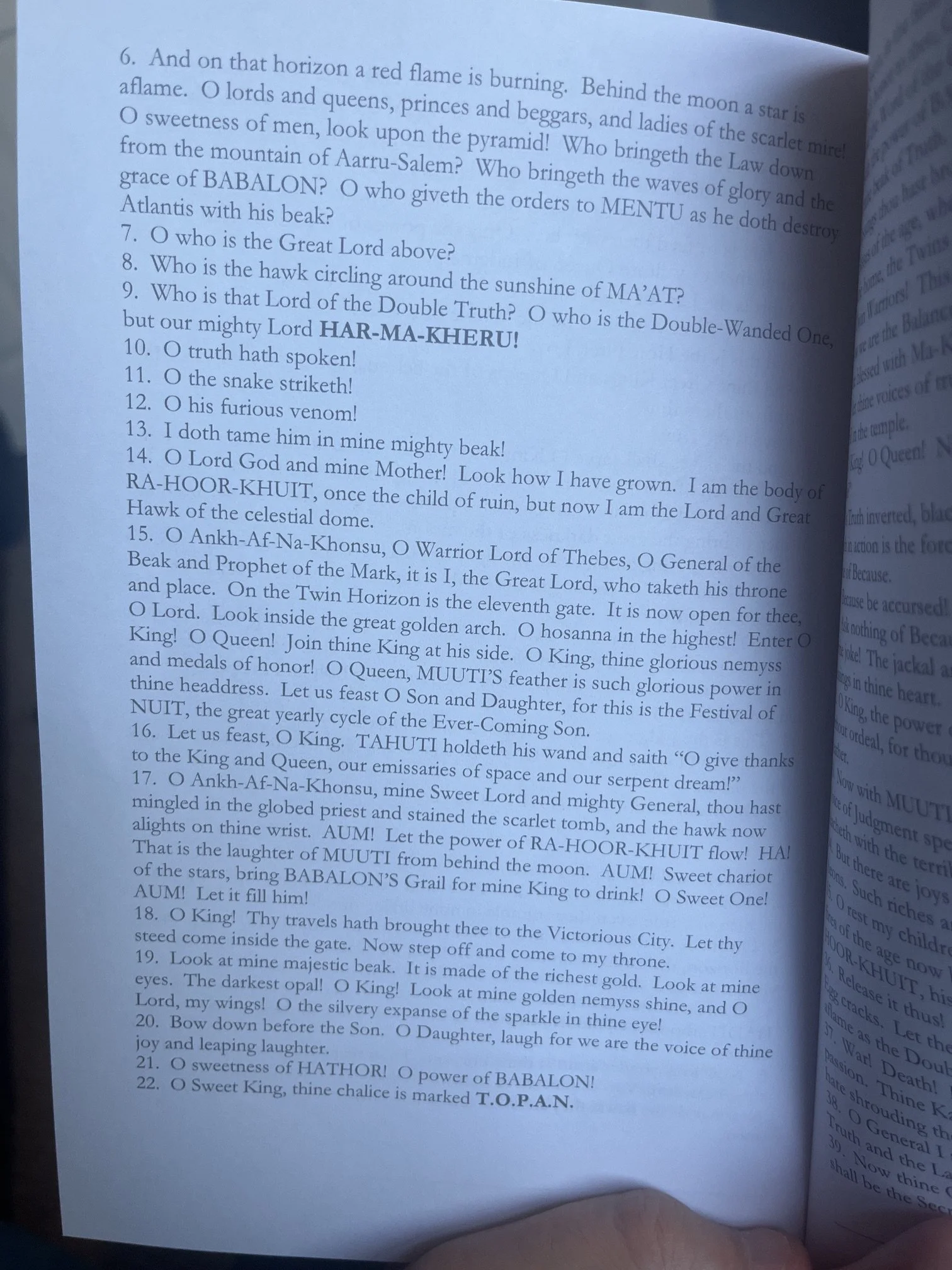LIBER 330 # 8.jpeg