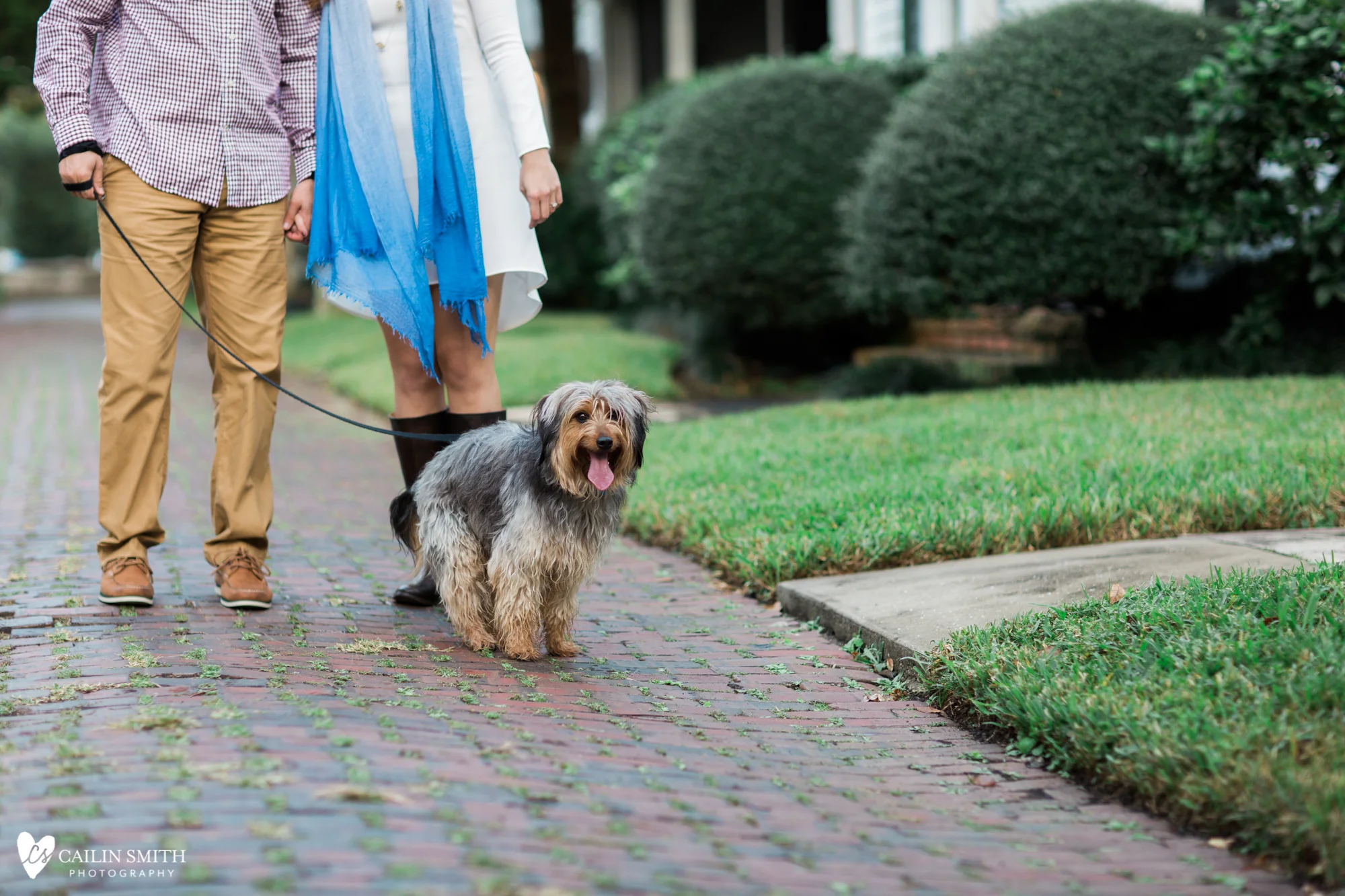 Meaghan_Chase_St_Augustine_Nights_of_Lights_Engagement_Photography_11.jpg