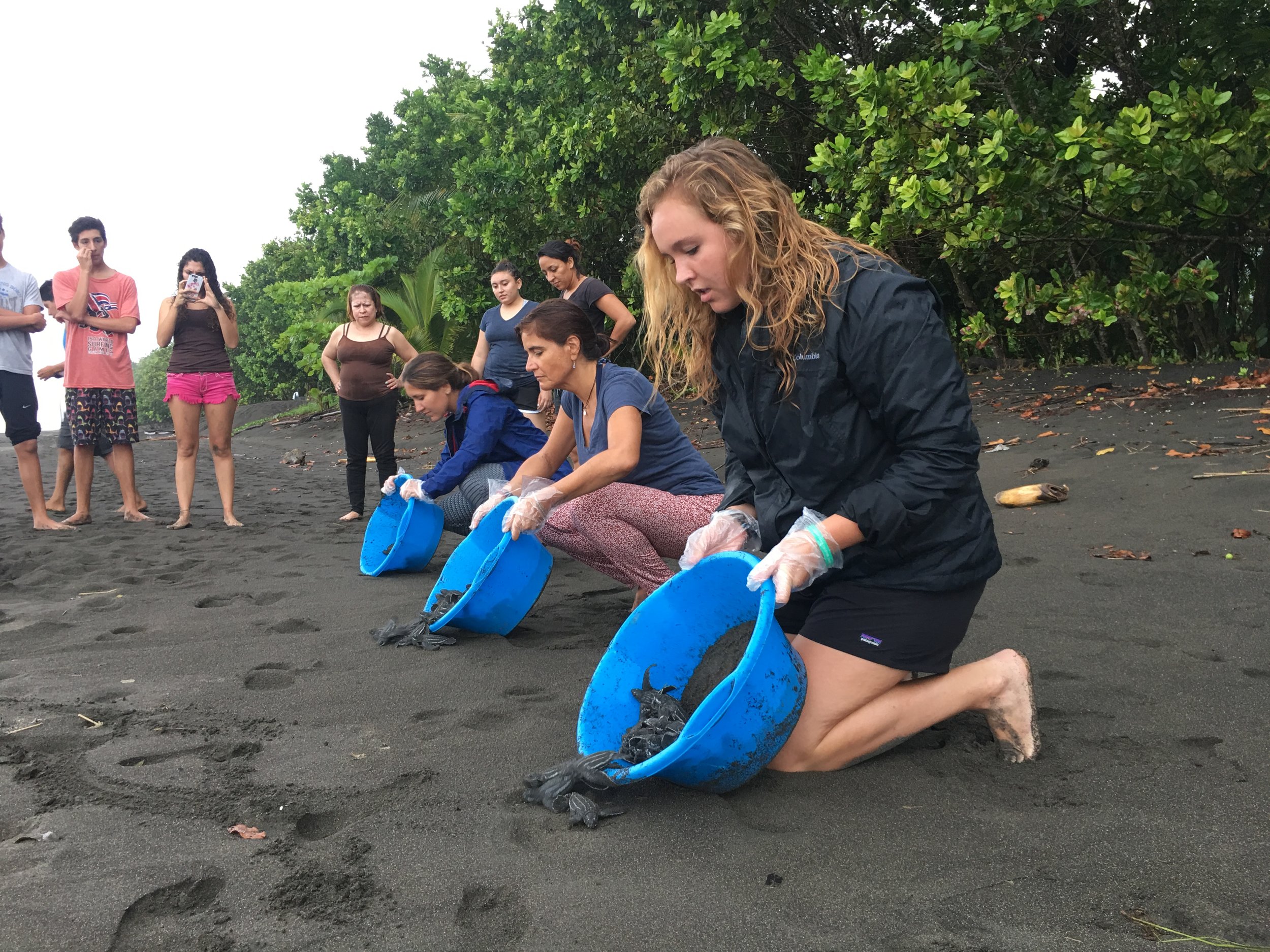 Releasing baby turtles into the ocean.