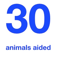 animals aided.jpeg