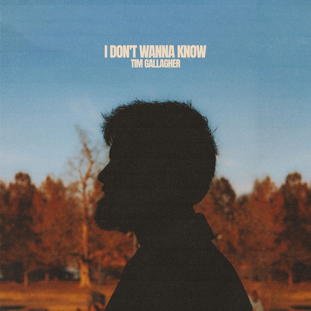 Tim Gallagher 'I Don't Wanna Know' Single