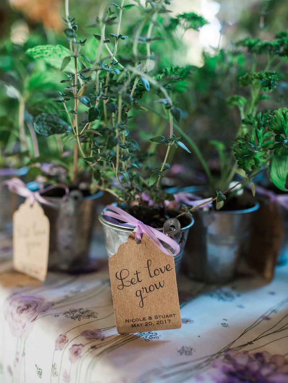  plant wedding favors 