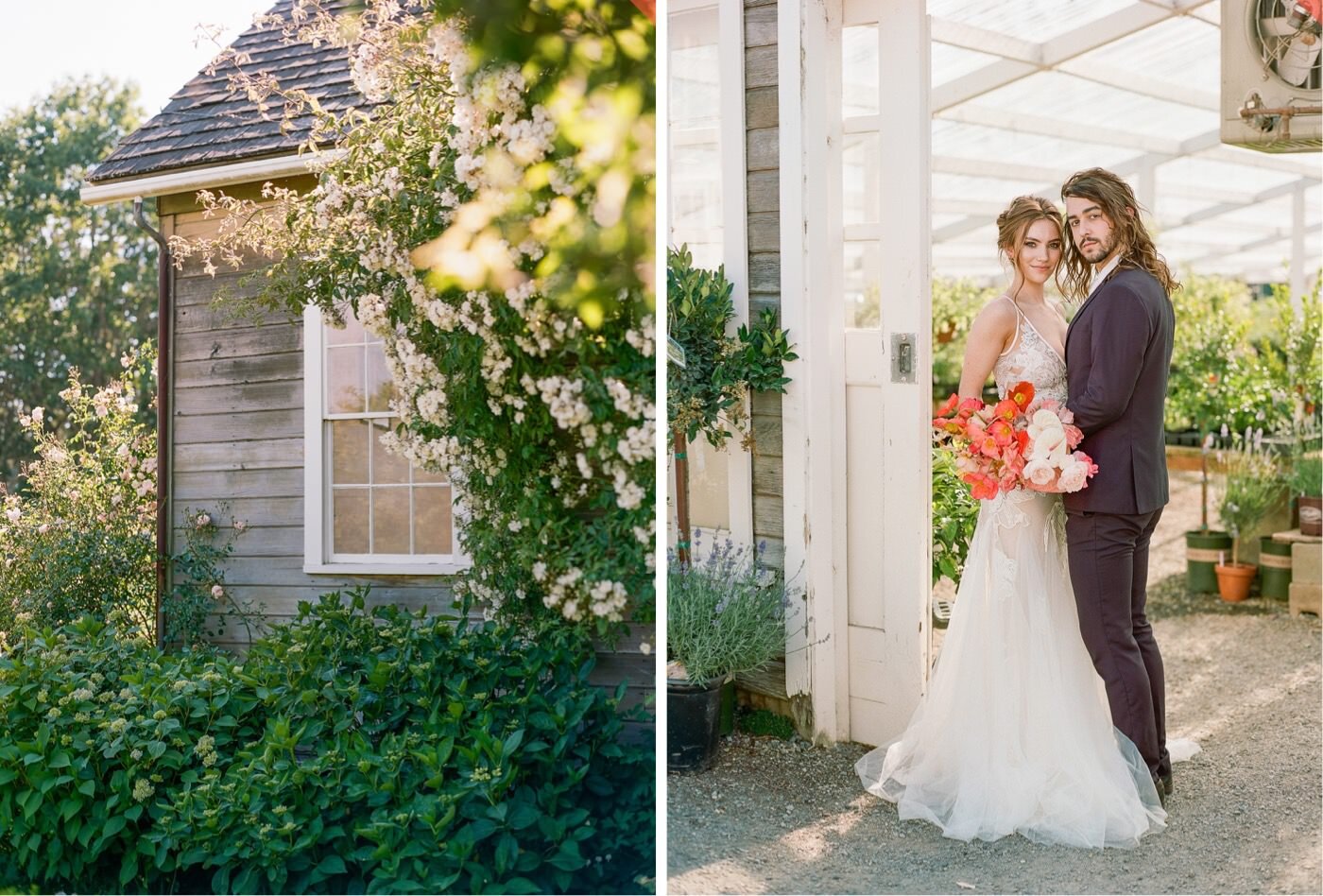 Sunny wedding portraits at a colorful greenhouse wedding near Seattle, WA