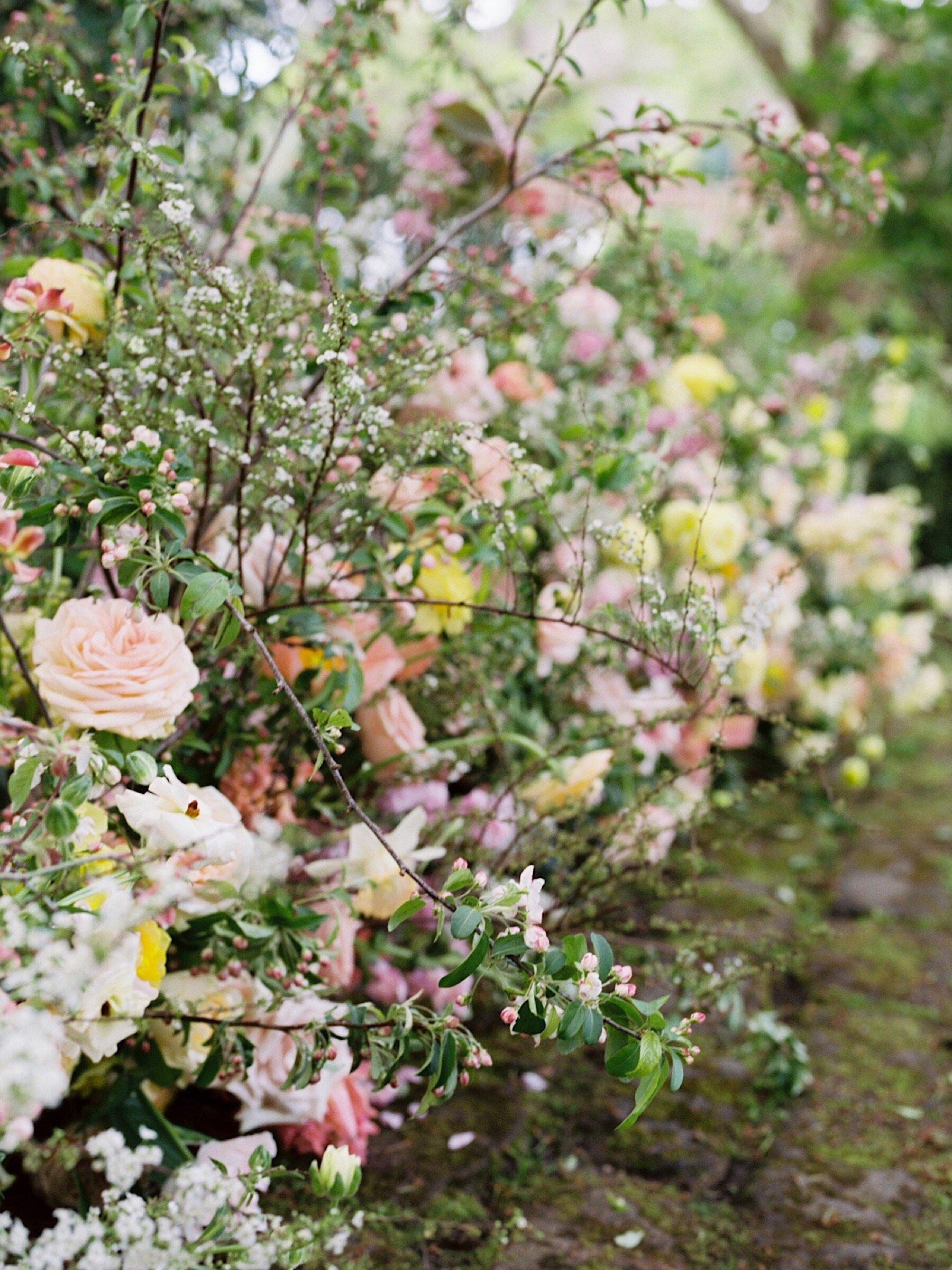 25_Colorful_at_Queen_Anne_wedding_Parsons_Garden.jpg