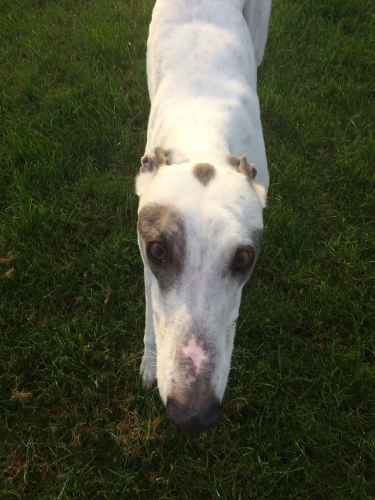 A little love. x