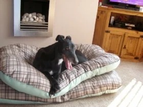 Gamble. The love of Beau's life - Back together again xxx
