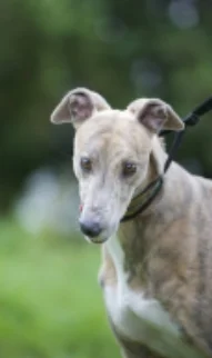 Pandora...Mrs Beautiful! x