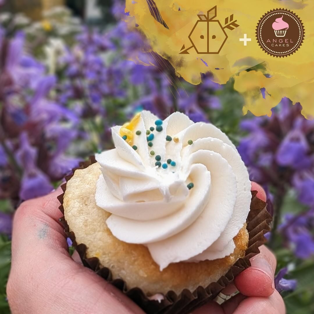 Honey Sage cupcakes tomorrow at the tasting room! // The amazing women-owned-and-operated Angel Cakes of Oakland will have 6-packs and singles for sale (various flavors) // Buy some for the maternal figure in your life!