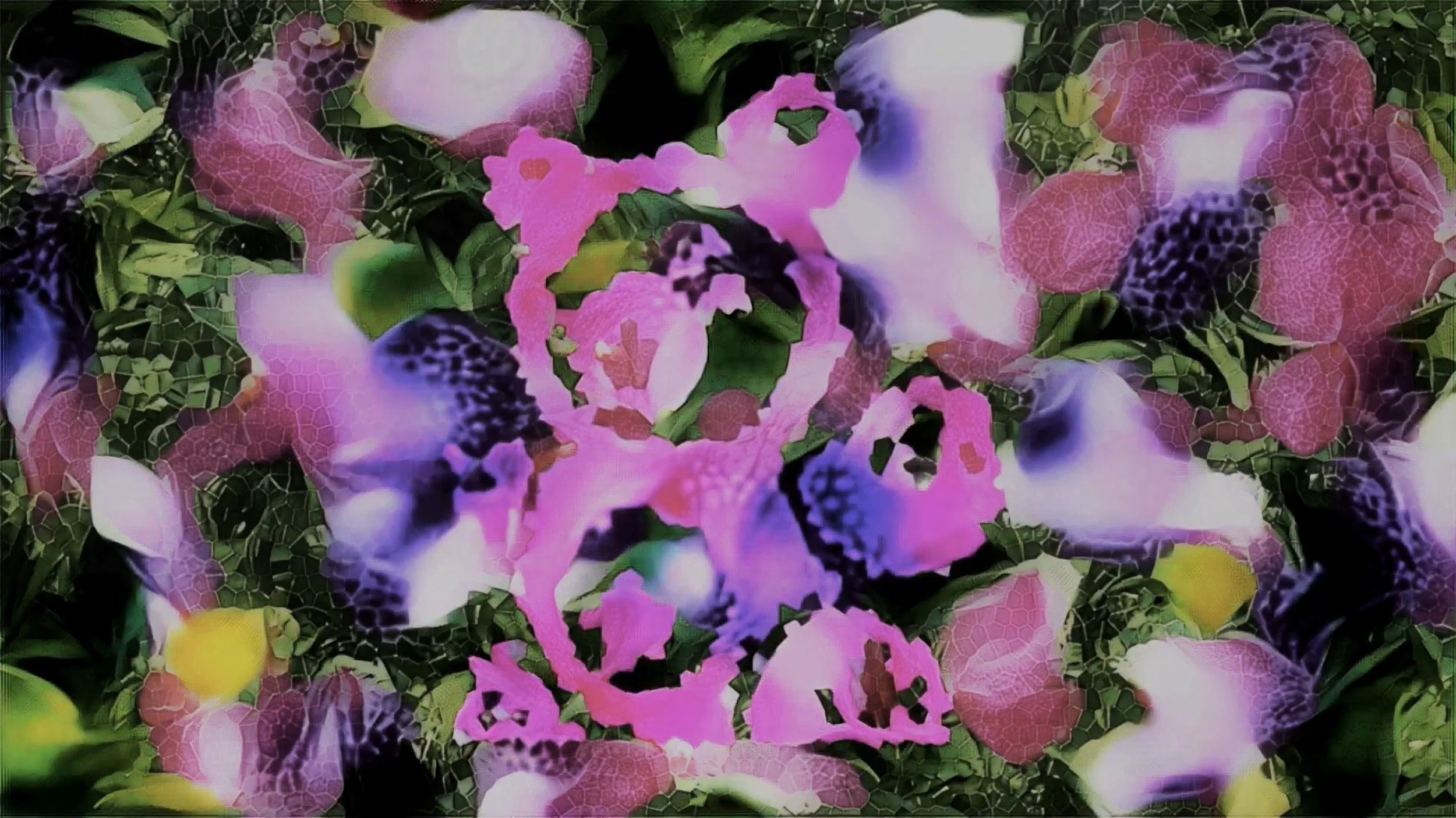 Deejay Comic - Lift [orchid visualizer]