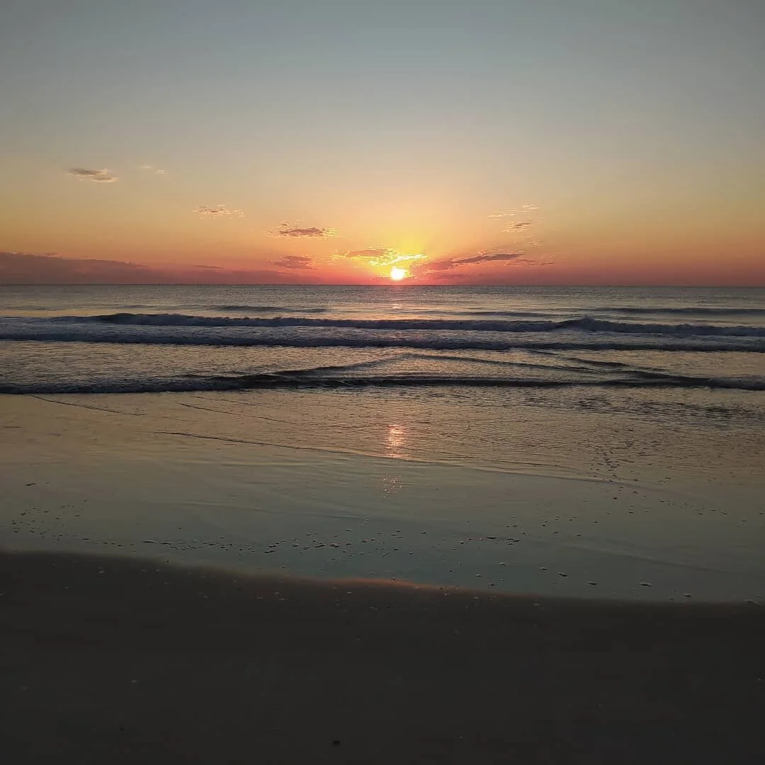 "Each mind perceives a different beauty." -David Hume