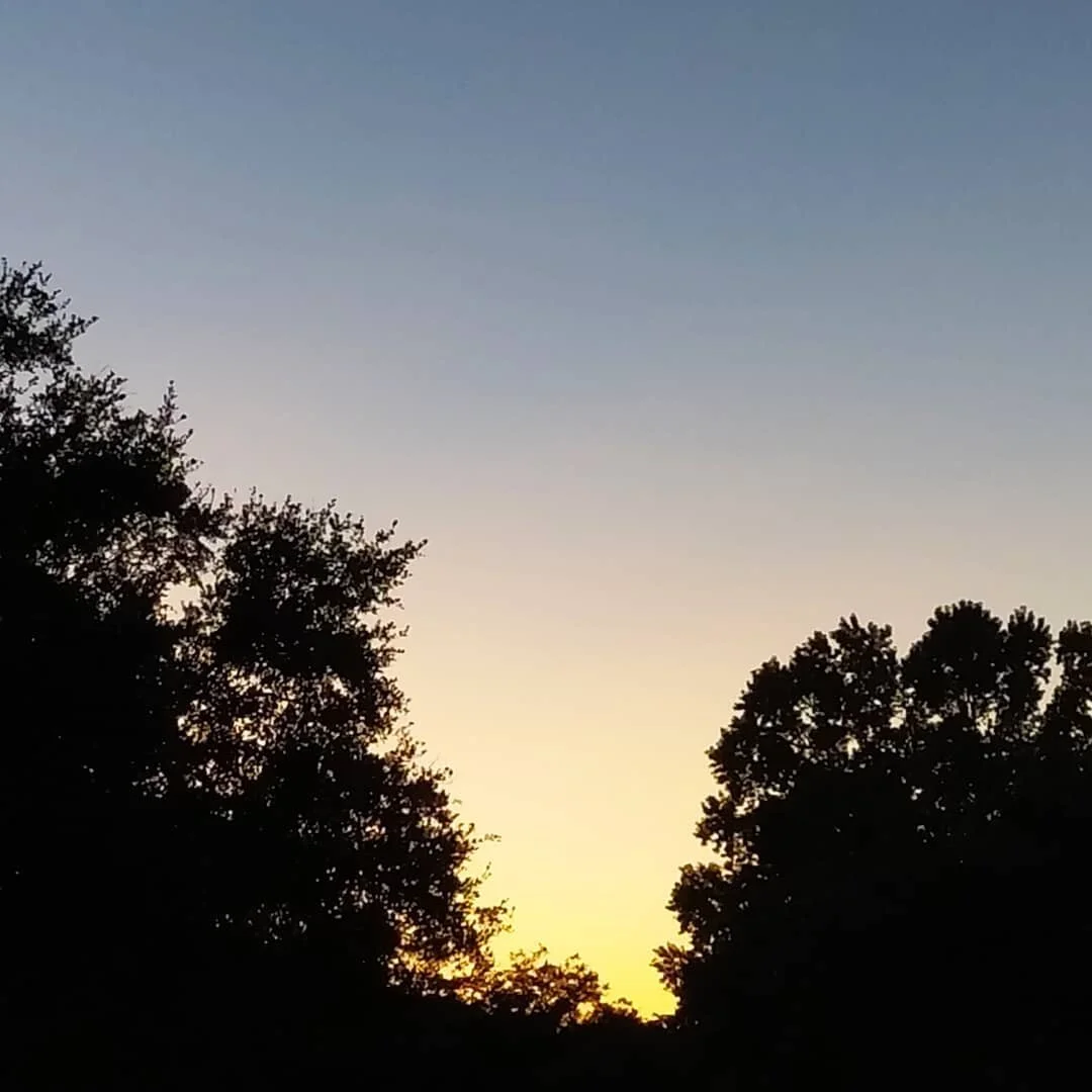 Sunset palette, natural art.