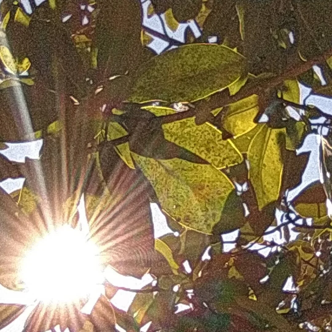 "Work while you have the light. You are responsible for the talent that has been entrusted to you." -Henri-Fr&eacute;d&eacute;ric Amiel