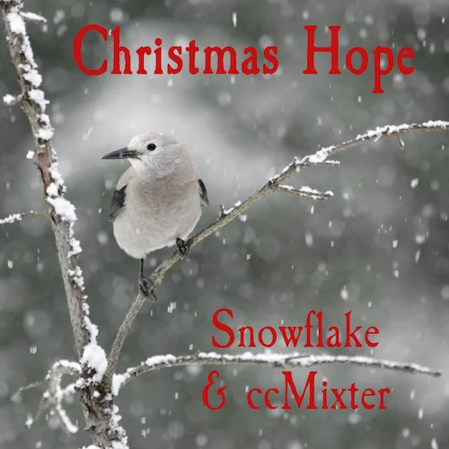 christmas hope album cover.jpeg