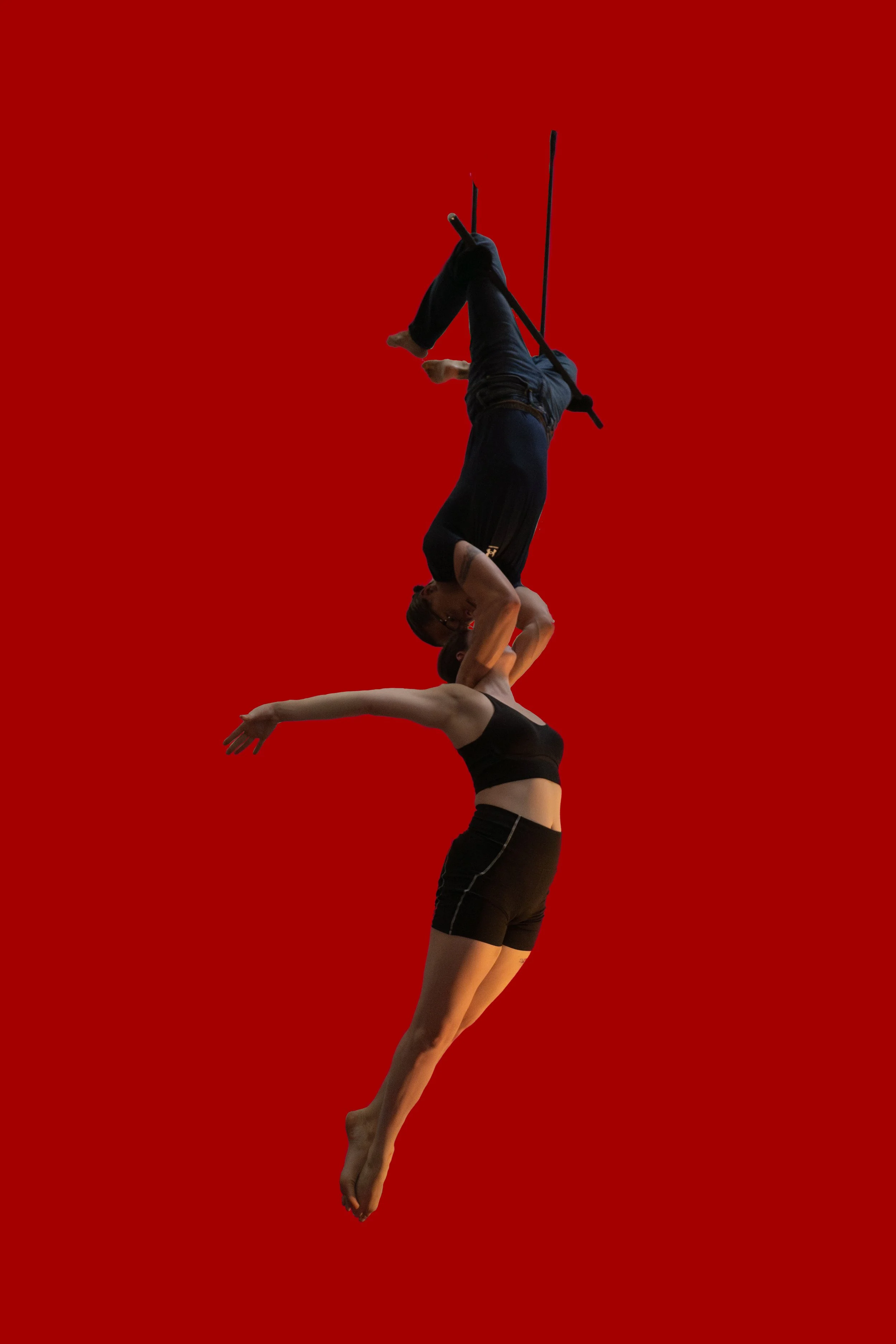 Duo Trapeze 2.jpg