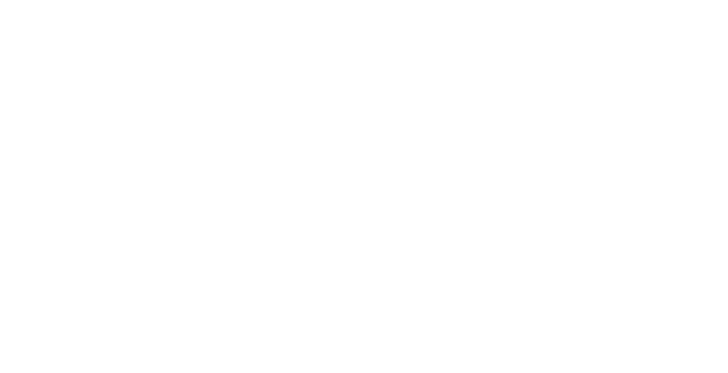 R. Robinson Guitars