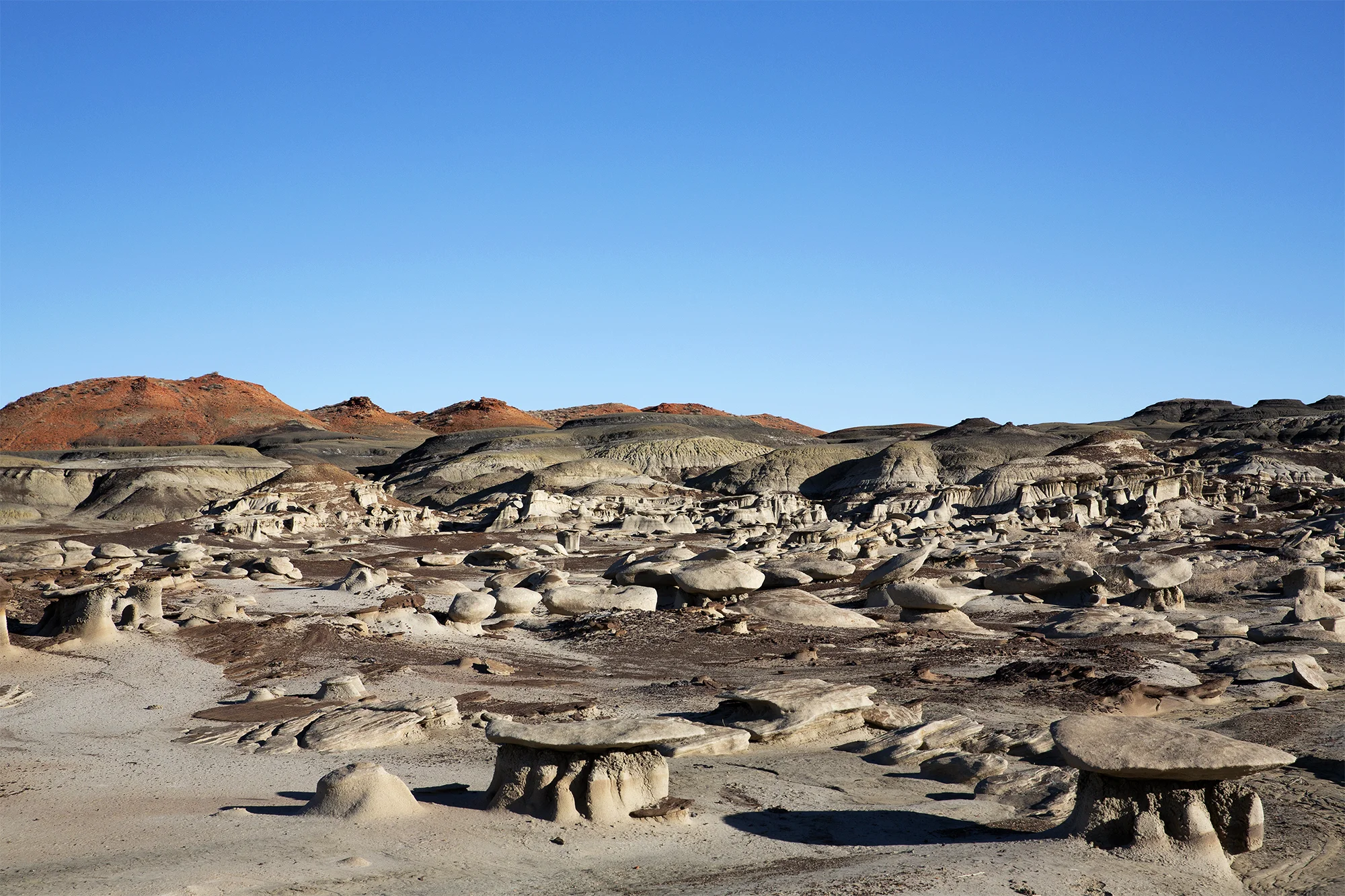 Bisti/De-Na-Zin Wilderness