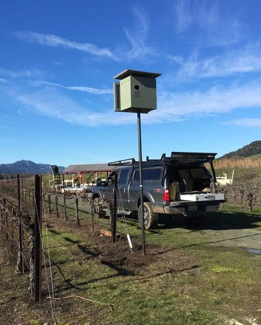 Barn owl box installed with GPS for moniltoring