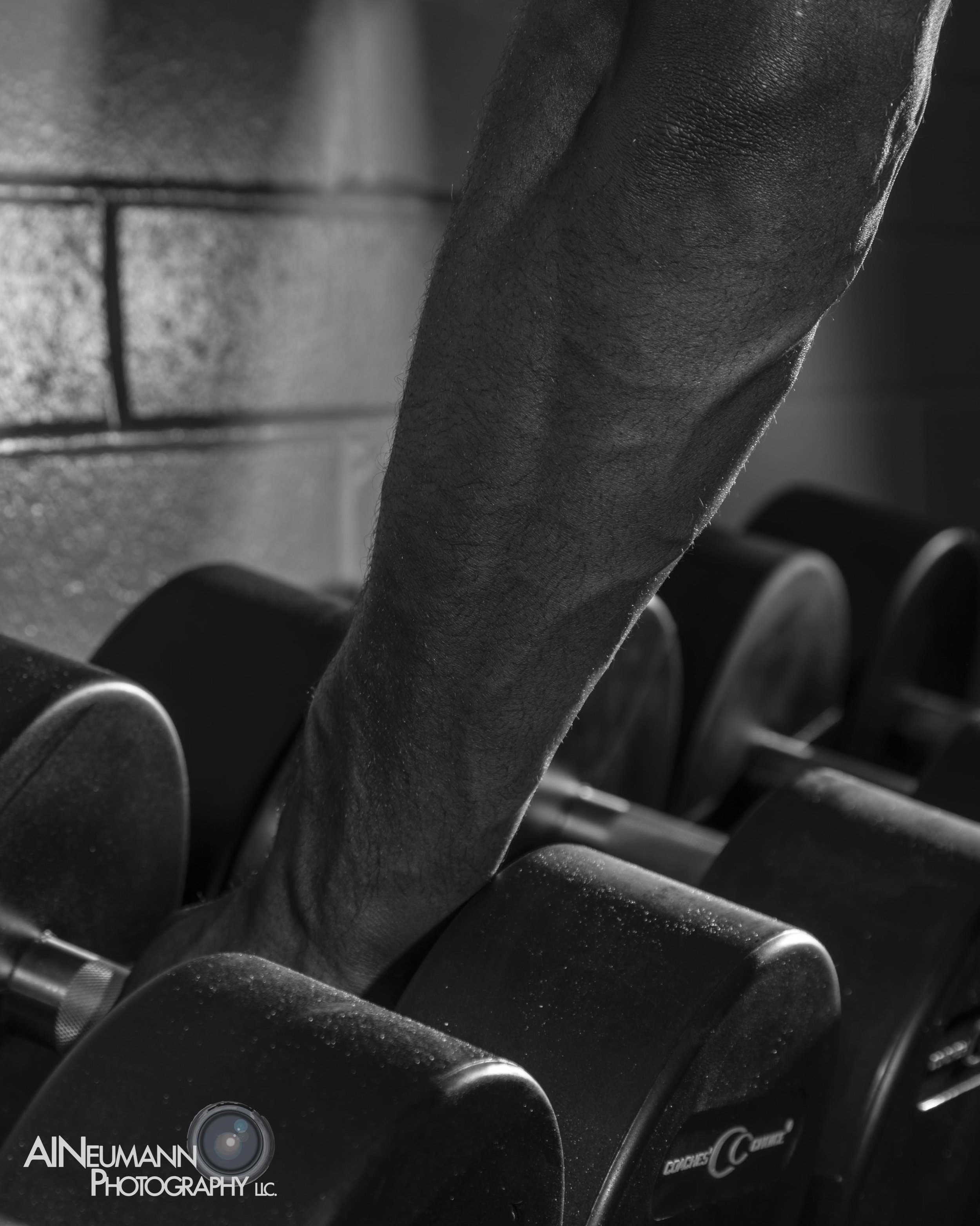  Neumann, Alexander_Senior_ (Subject)_Digital_Phot314_Fall2017_Keating,Tim 