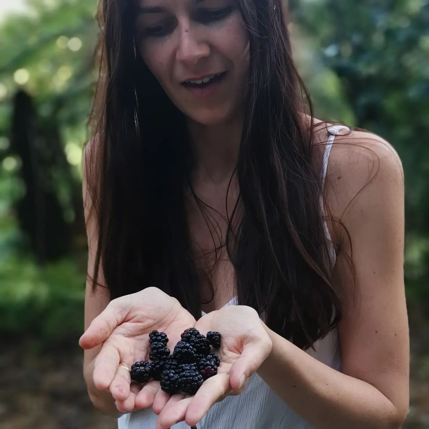 Blackberry foraging season! 🍇 It's such a luxury to have such a bounty of wild blackberries in the surrounding land. Steph and I were having a feast! Those that made it home became dressing for beautiful meringue with dried flowers and blueberries! 