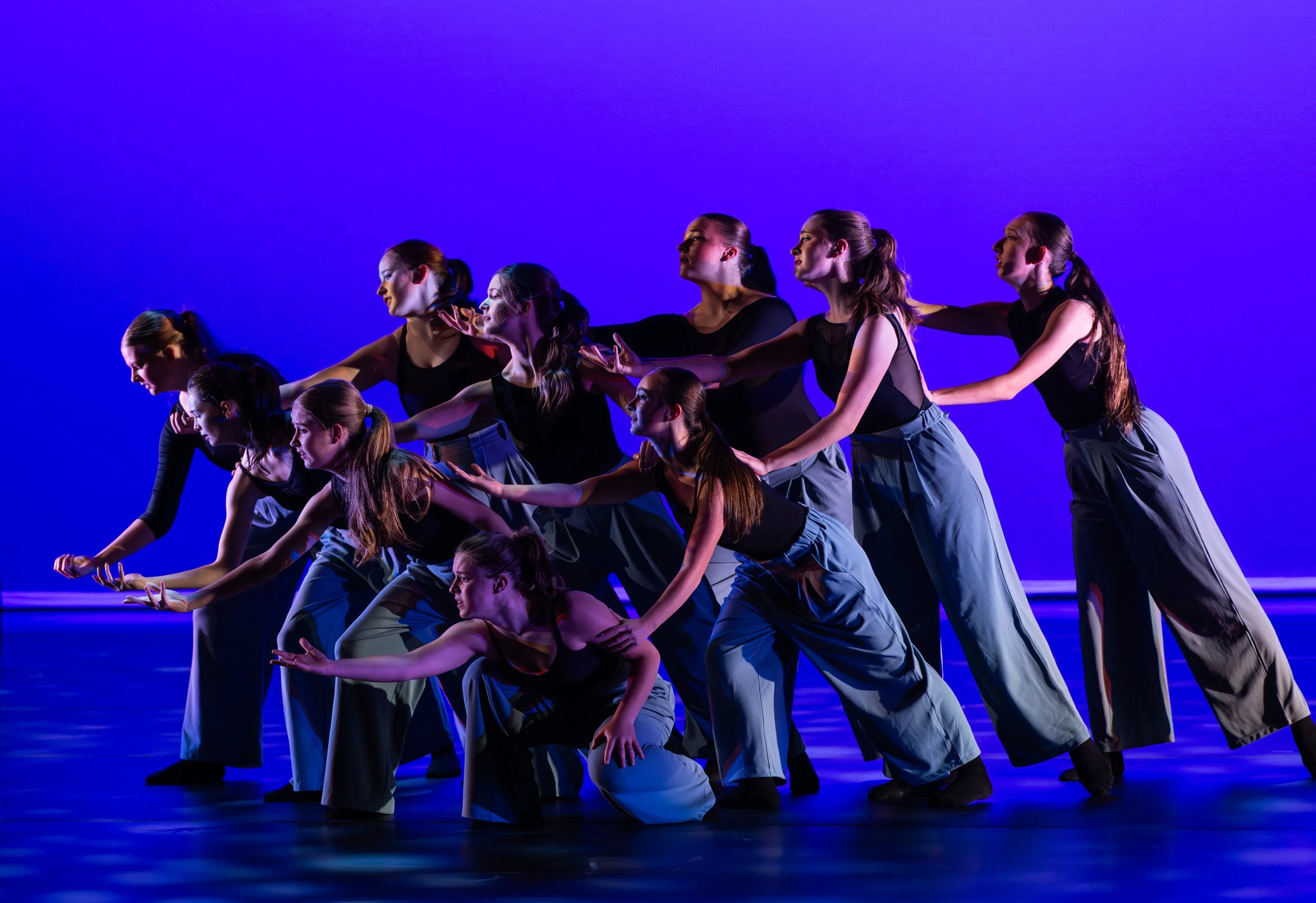 showcase2026-17.jpg