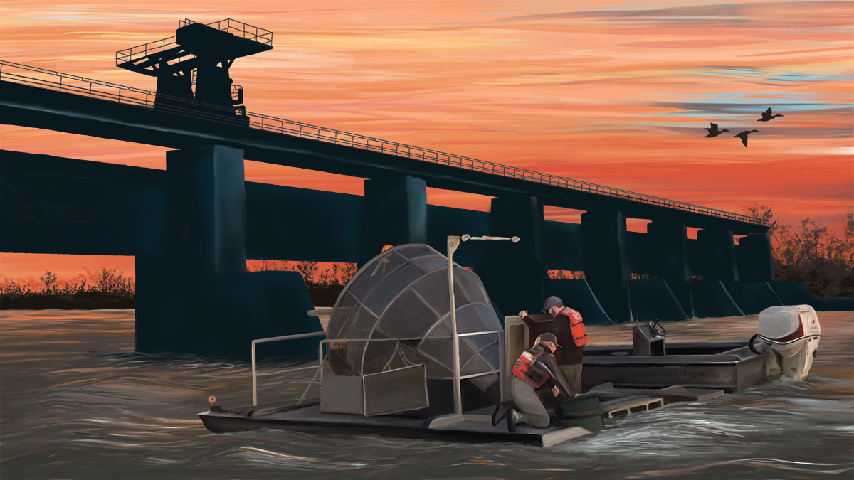 Science Notes: Salmon Run Collaboration with Ula Chrobak