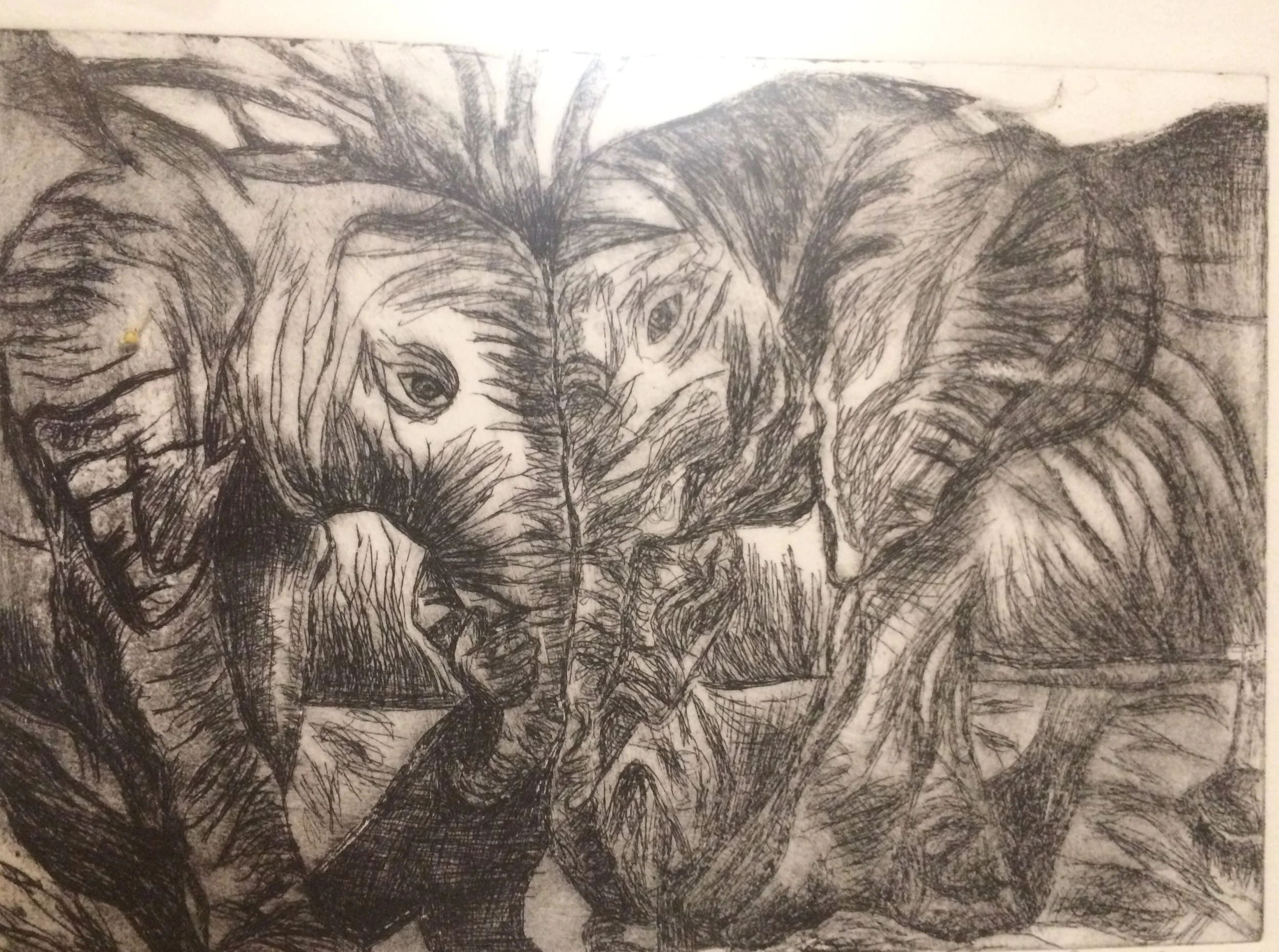 elephant.jpg