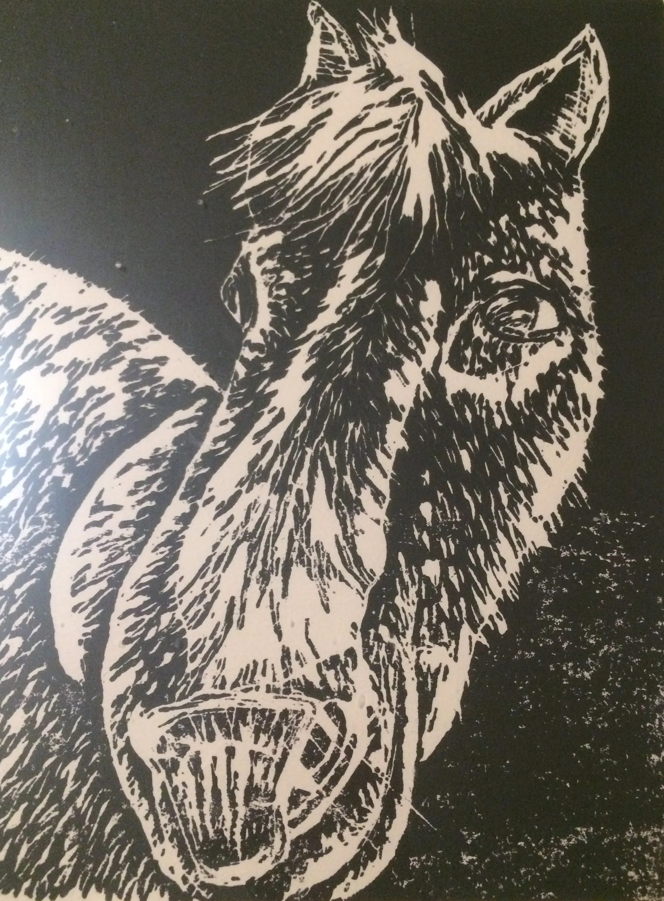 horse.jpg