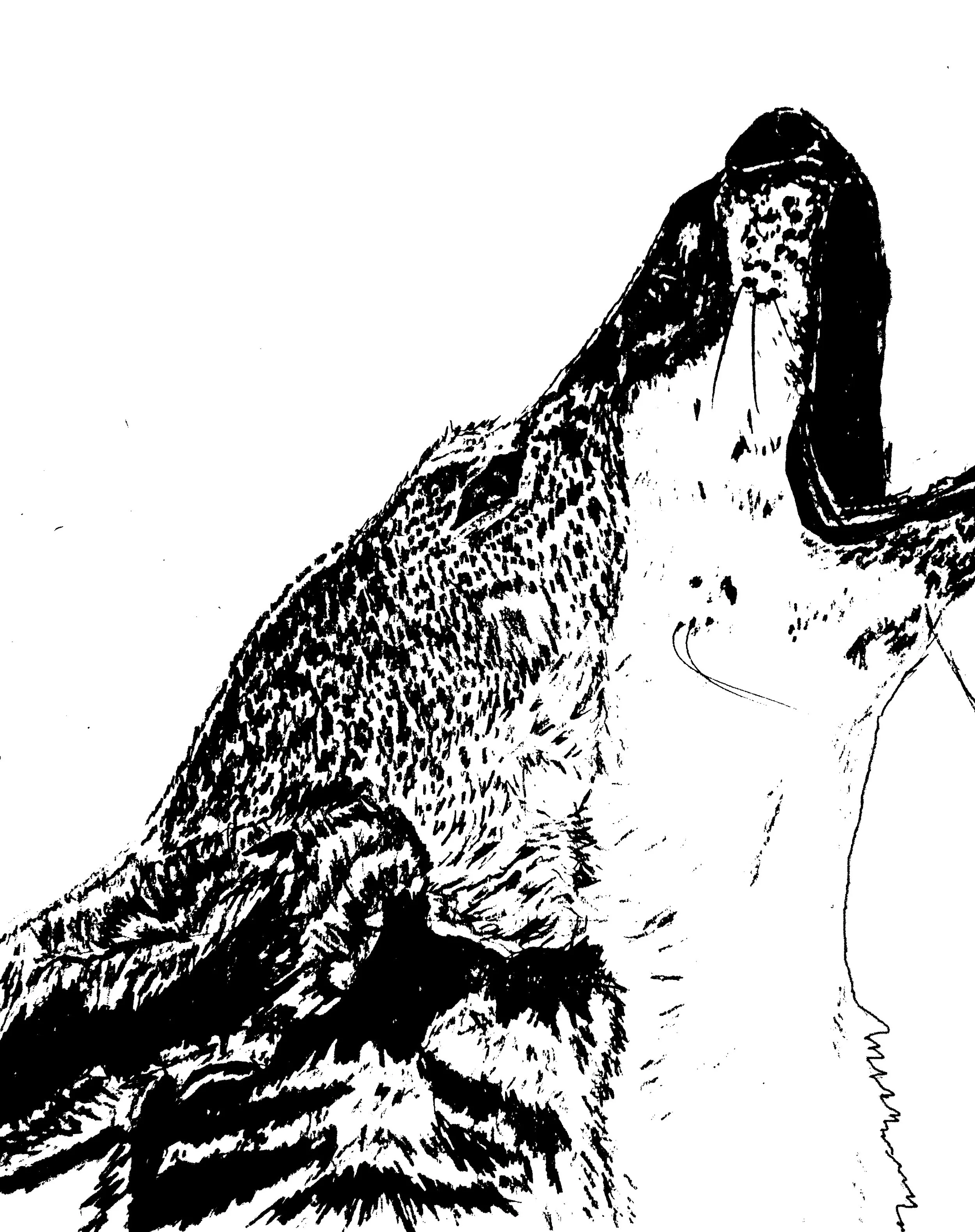 screen print red wolf 5.jpg