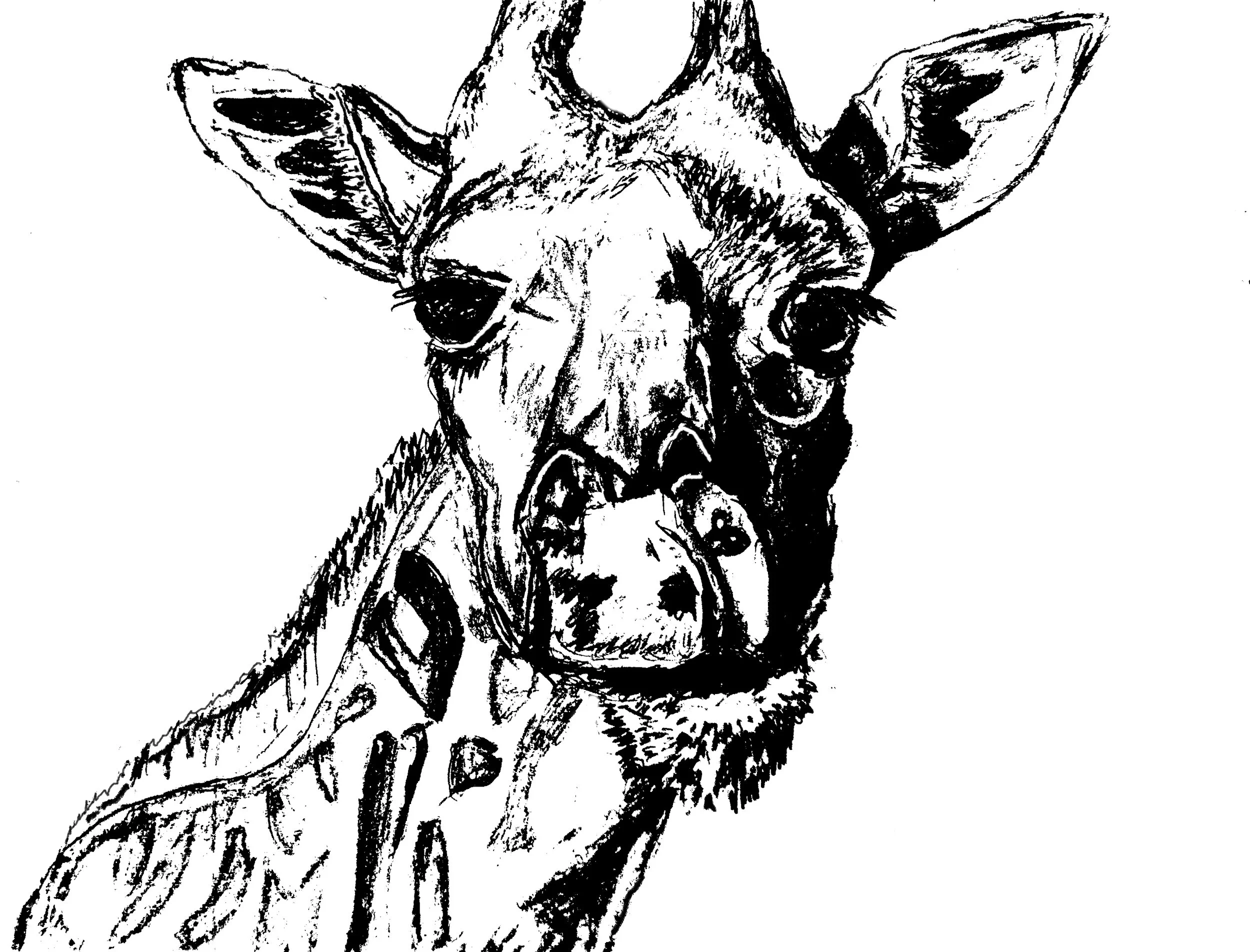 giraffe silk screen copy.jpg