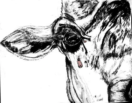 giraffe-tear.jpg