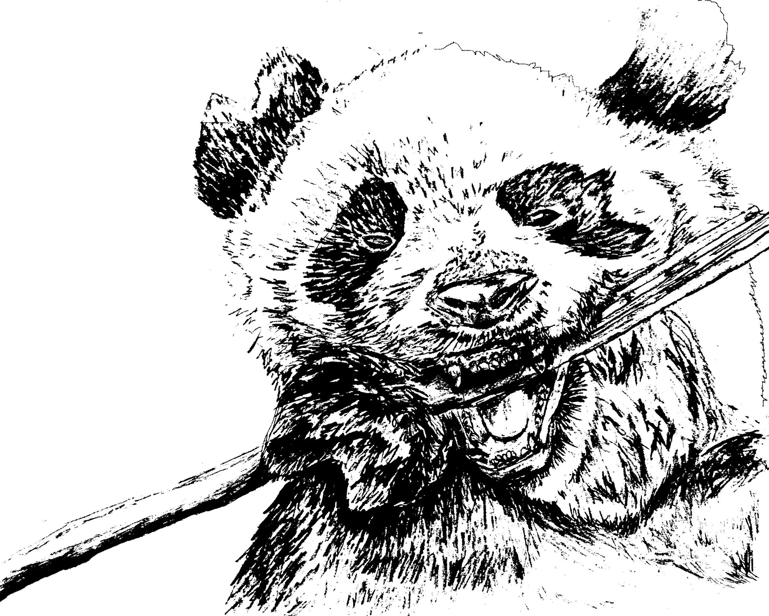 panda solar plate-Recovered.jpg