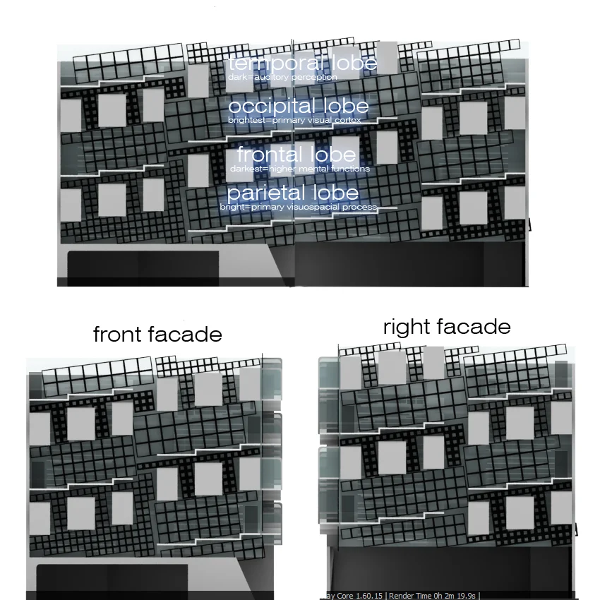 Diagram Highlighting Subject Curation Concept (with example using different lobes of the brain). 