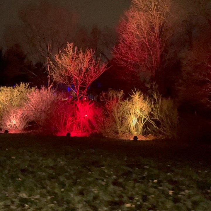 Went to see the 2020 holiday lights at the arboretum. #quarantine #christmas