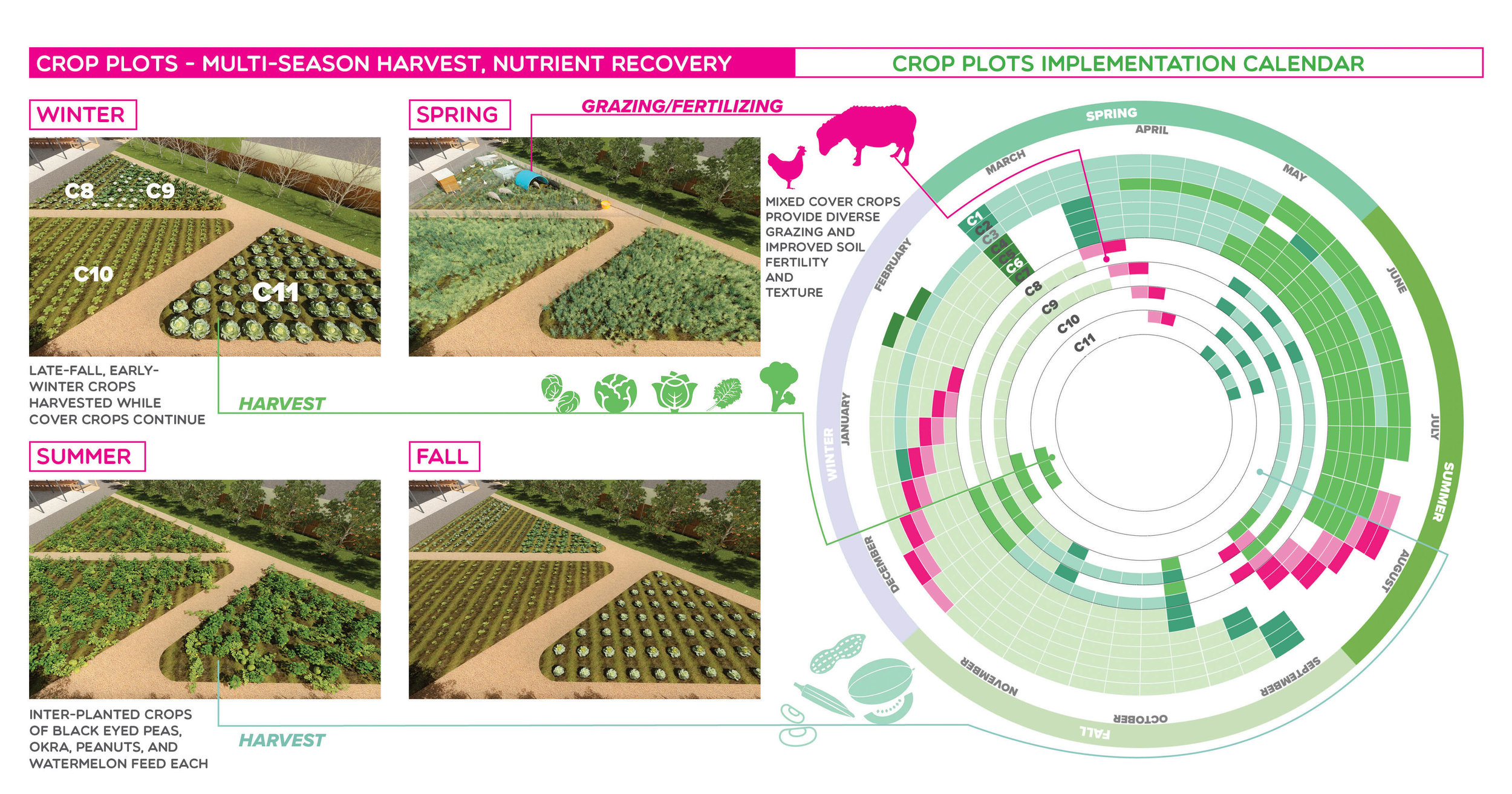  The DELINEATOR design team developed a comprehensive farm calendar to help guide the operations of the farm. A large variety of fruits and vegetables is proposed to provide interest, educational opportunity, and even out the required labor throughou