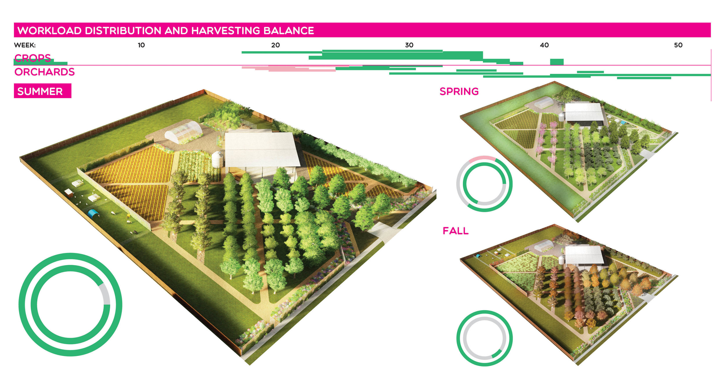  The compact size of the farm necessitates using every part of it as much of the year as possible. This image illustrates the various market crops, cover crops, and grazing that occurs on a handful of vegetable plots throughout the different seasons.