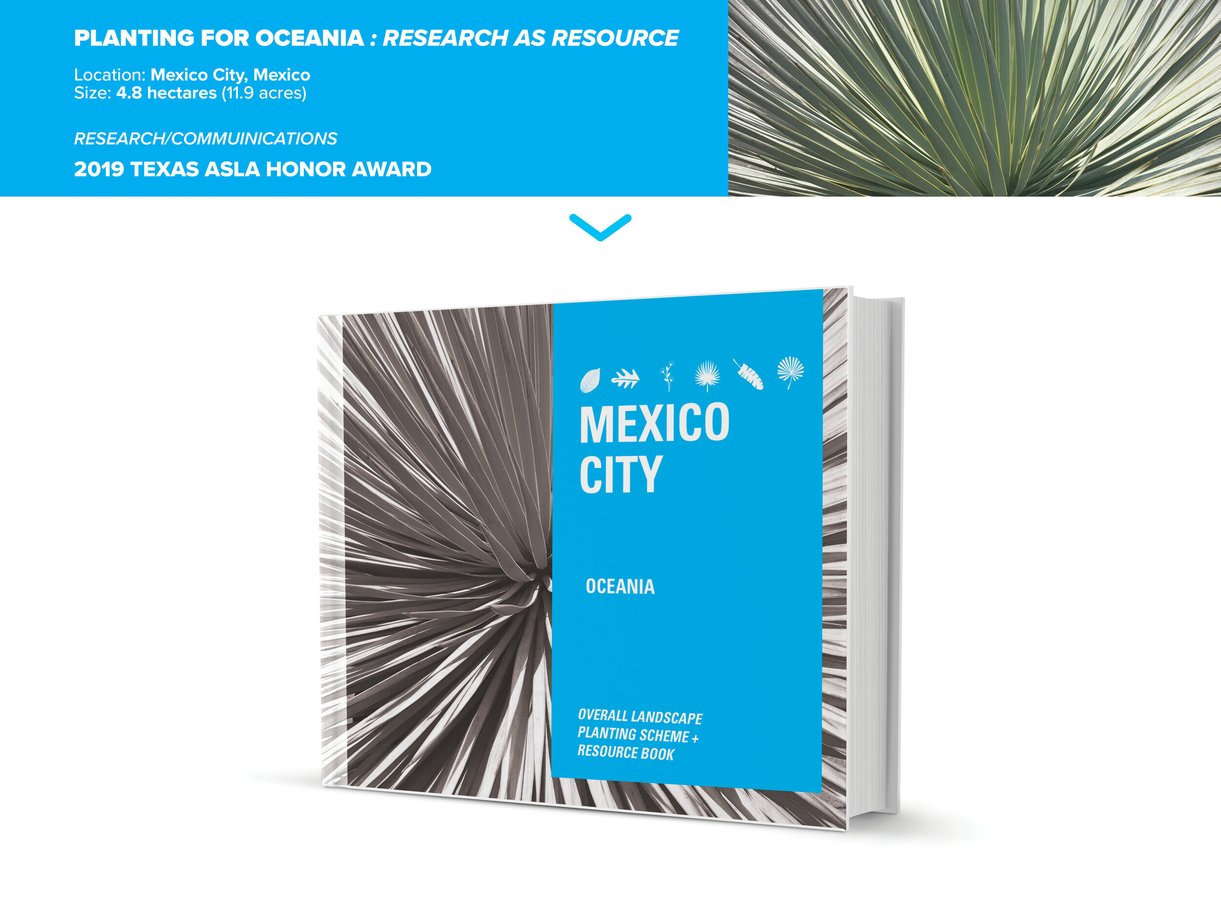  The Oceania plant book for Mexico City is a graphic communication piece to engage clients to help them understand comprehensively the project design as well as a tool for owners to be able to update the planting design of the retail spaces without u