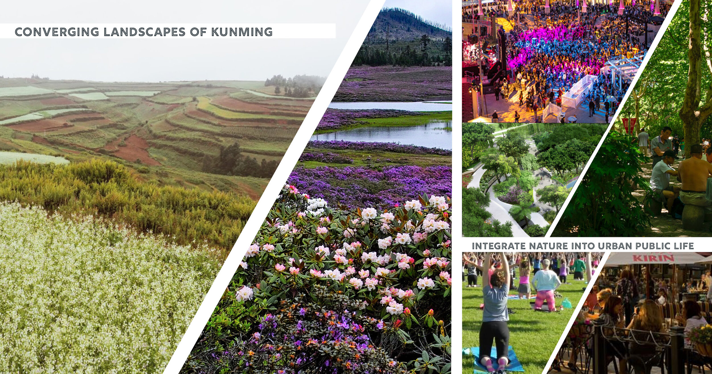  Kunming is known as the “City of Eternal Spring.” The team utilized past experience in the city and research to yield programmatic and landscape elements during the concept stage.    (Conceptual reference imagery above) 