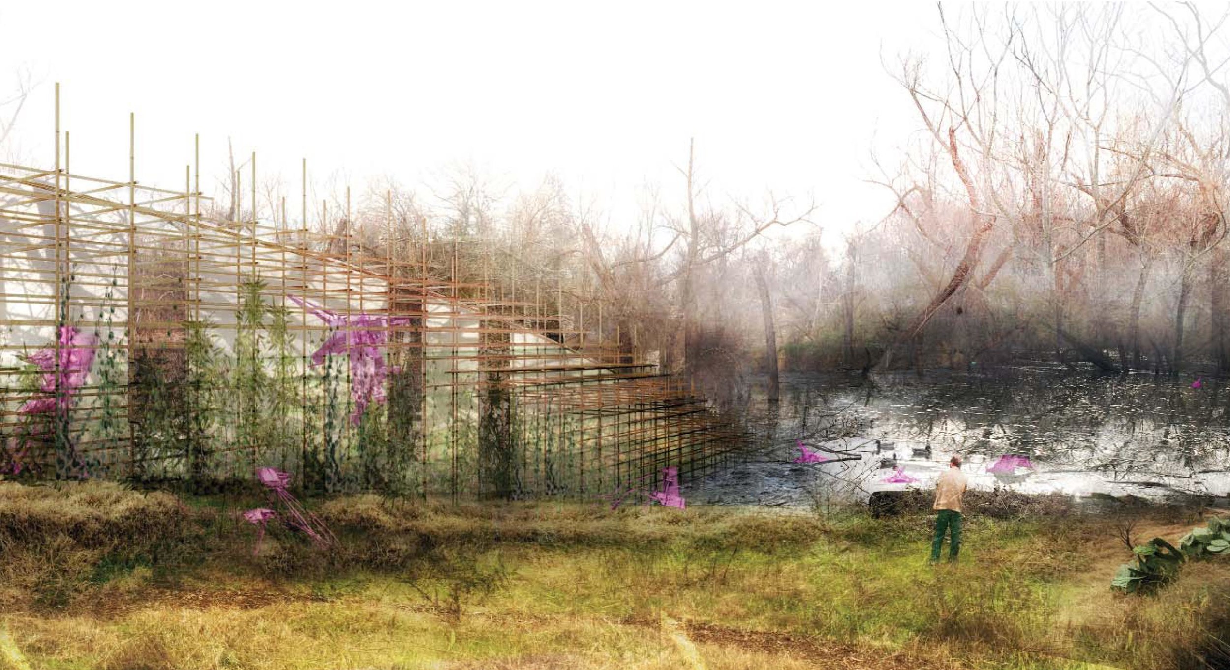 Field Constructs Competition | Circle Acres Austin, TX