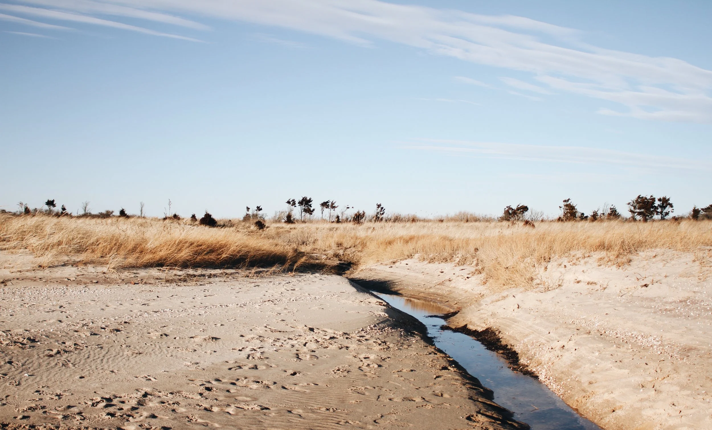 Cedar Point ∙ East Hampton, NY 
